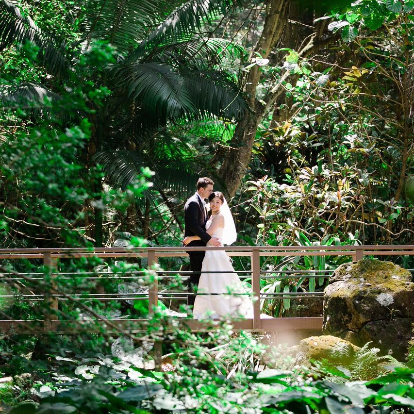 Jungle Wedding on Kauai